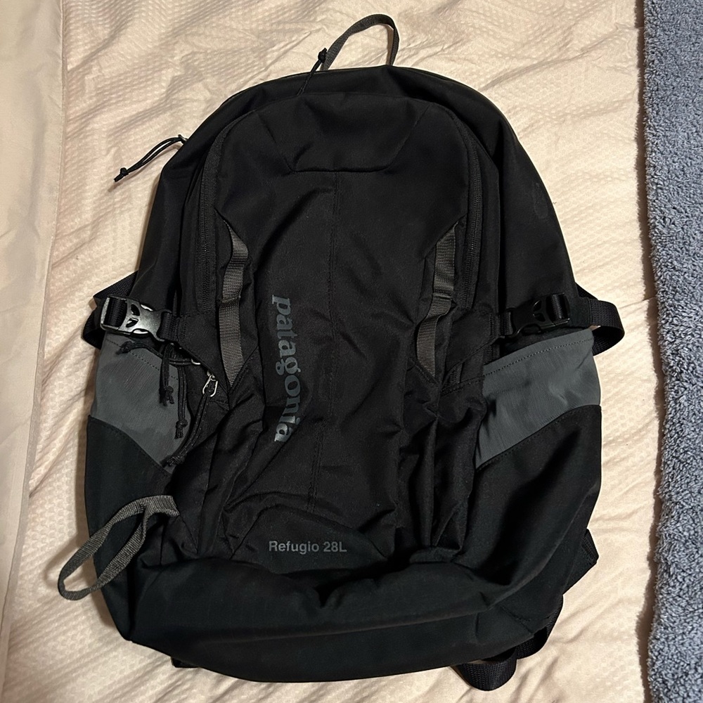 Patagonia backpack!